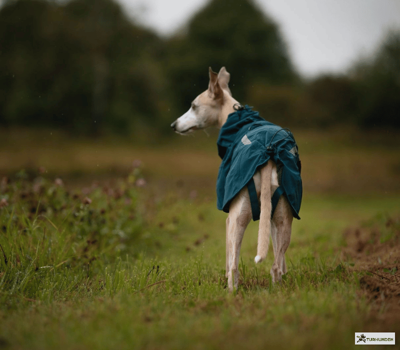 Non-stop dogwear Fjord lined raincoat
