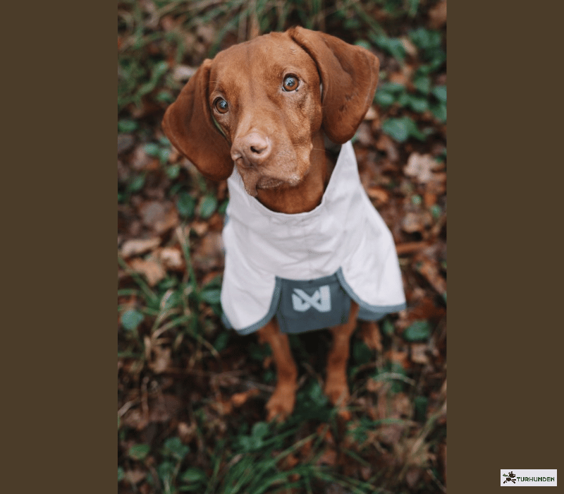 Non-stop dogwear Fjord Raincoat 2.0