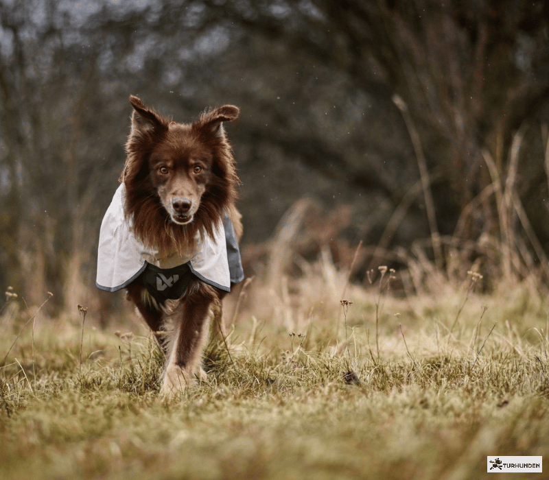 Non-stop dogwear Fjord Raincoat 2.0