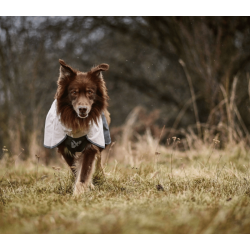 Non-stop dogwear Fjord Raincoat 2.0