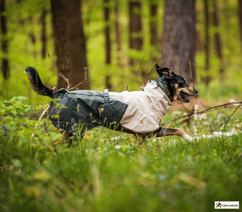 Non-stop dogwear Fjord Raincoat 2.0