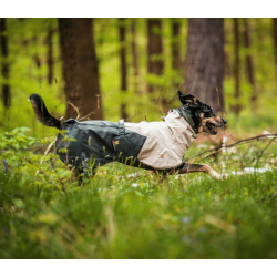 Non-stop dogwear Fjord Raincoat 2.0