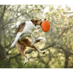 Non-stop dogwear Dog flying disc