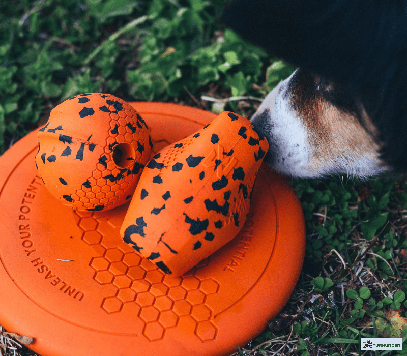 Non-stop dogwear Dog flying disc