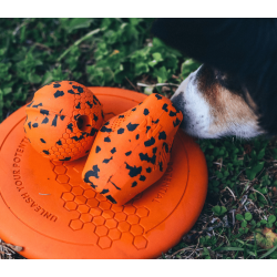 Non-stop dogwear Dog flying disc