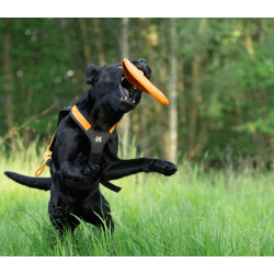 Non-stop dogwear Dog flying disc