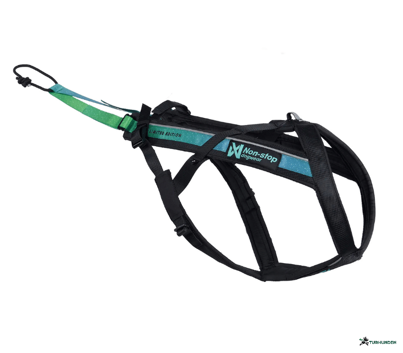 Non-stop dogwear Freemotion harness 5.0 15th anniversary