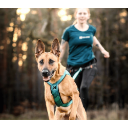Non-stop Dogwear Freemotion 5.0