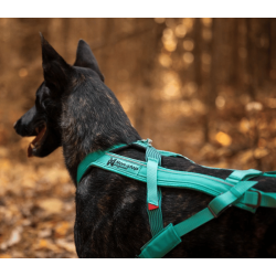 Non-stop Dogwear Freemotion 5.0