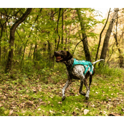Non-stop Dogwear Freemotion 5.0