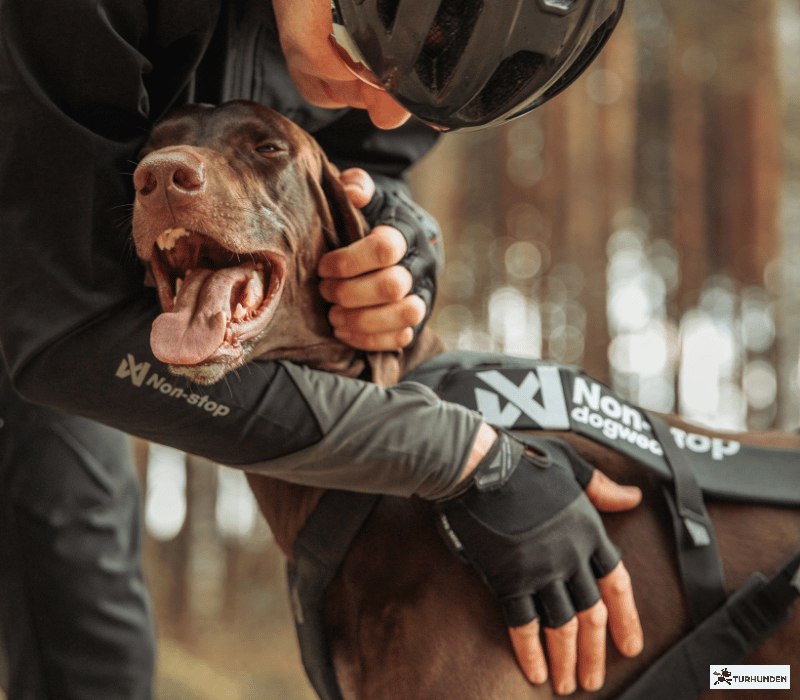 Non-stop dogwear Freemotion Pro