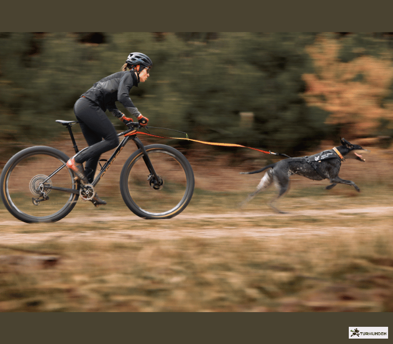 Non-stop dogwear Freemotion Pro