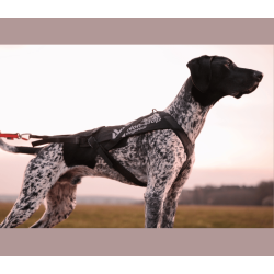 Non-stop dogwear Freemotion Pro