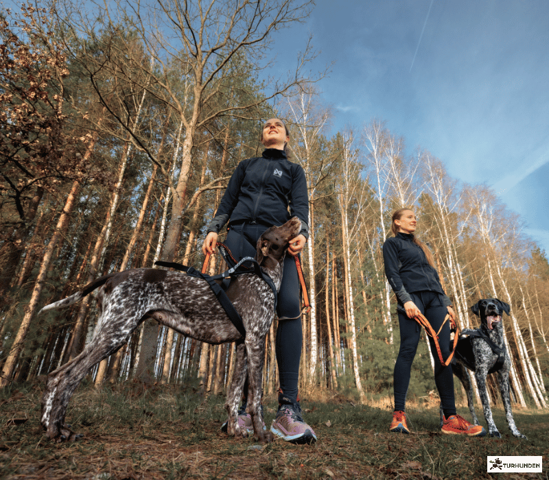 Non-stop dogwear Freemotion Pro