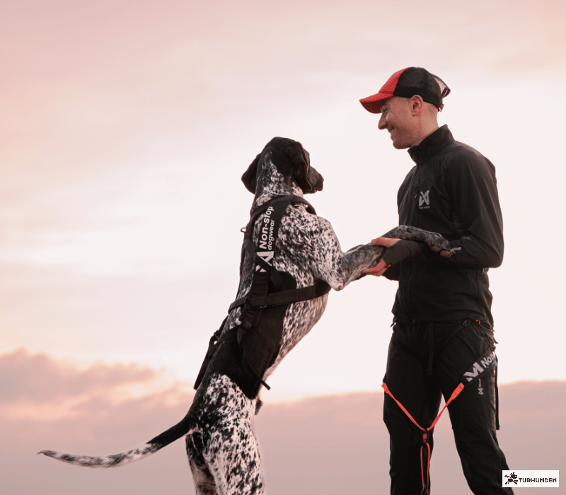 Non-stop dogwear Freemotion Pro
