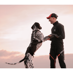 Non-stop dogwear Freemotion Pro