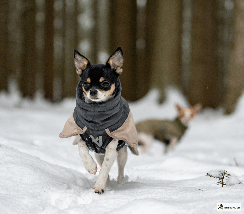 Non-stop dogwear Glacier Jacket 3.0
