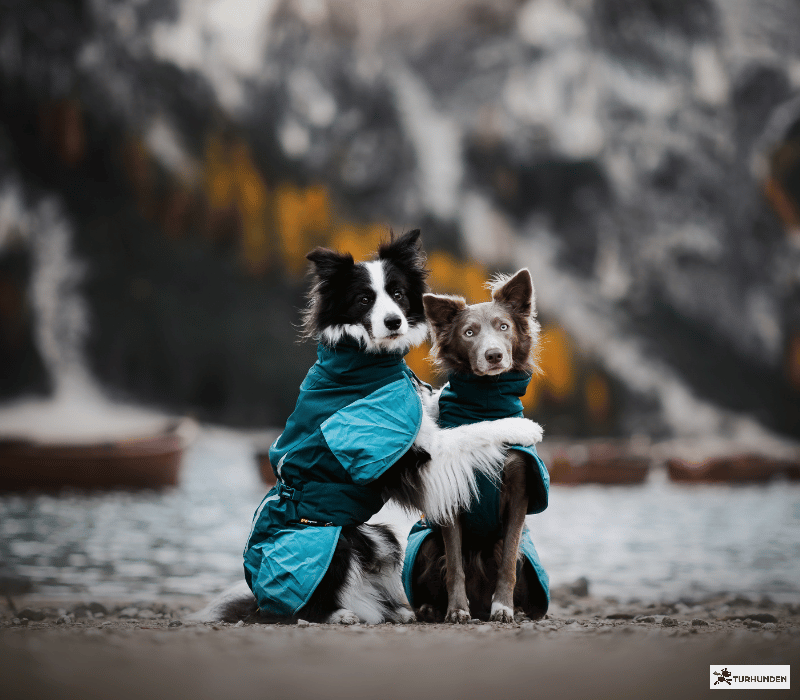 Non-stop dogwear Glacier Jacket 3.0