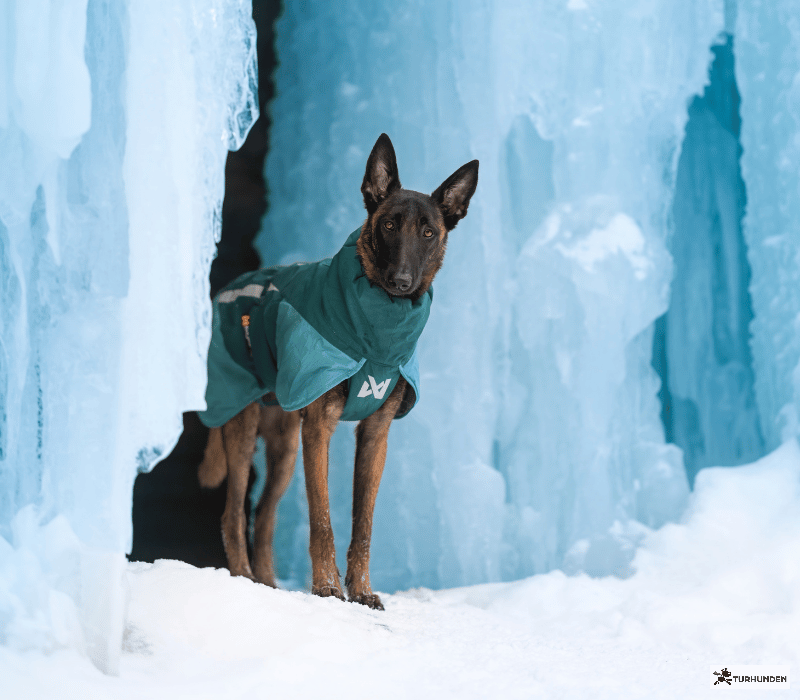 Non-stop dogwear Glacier Jacket 3.0