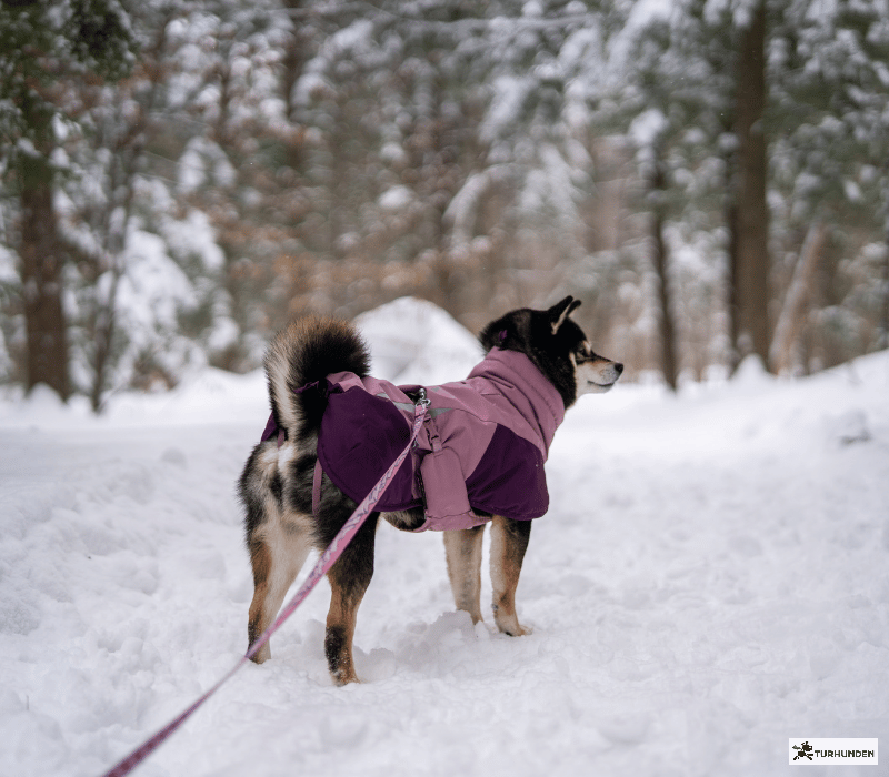 Non-stop dogwear Glacier Jacket 3.0
