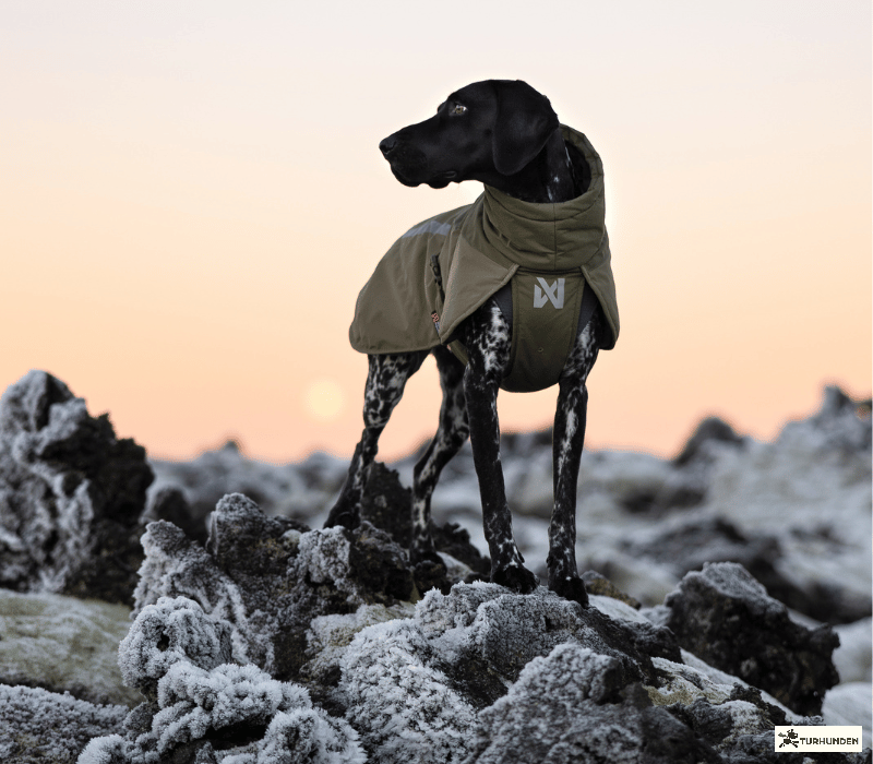 Non-stop dogwear Glacier Jacket 3.0