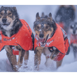 Non-stop dogwear Long distance + Jacket