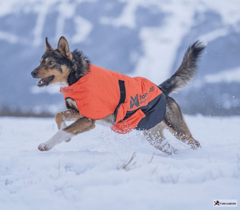 Non-stop dogwear Long distance + Jacket