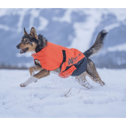 Non-stop dogwear Long distance + Jacket