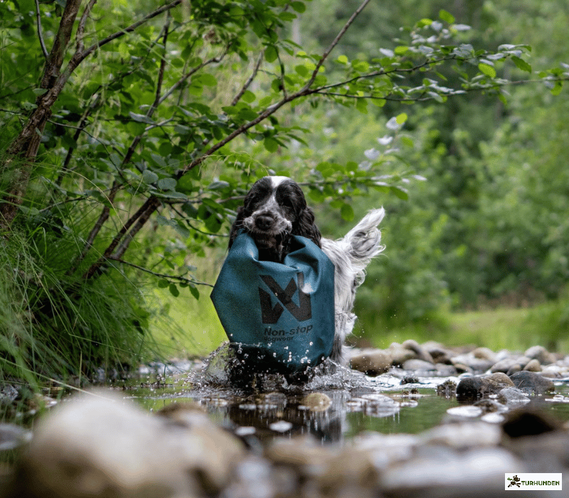Non-stop dogwear Multiuse Bag