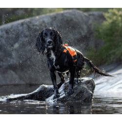 Non-stop dogwear Protector Neoprene Vest