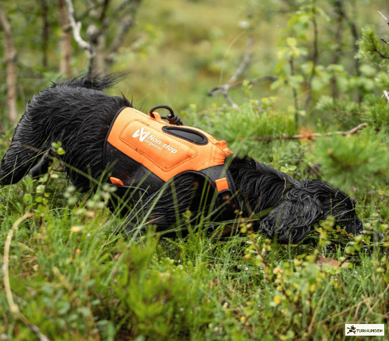 Non-stop dogwear Protector Neoprene Vest