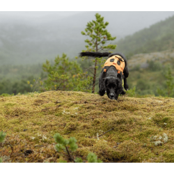 Non-stop dogwear Protector Neoprene Vest