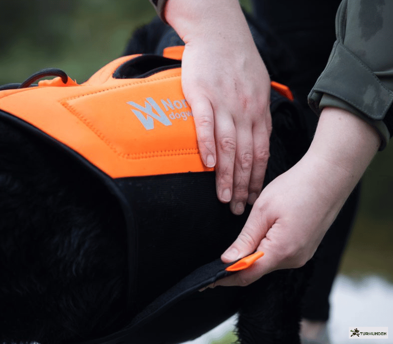 Non-stop dogwear Protector Neoprene Vest