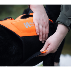 Non-stop dogwear Protector Neoprene Vest