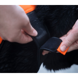 Non-stop dogwear Protector Neoprene Vest