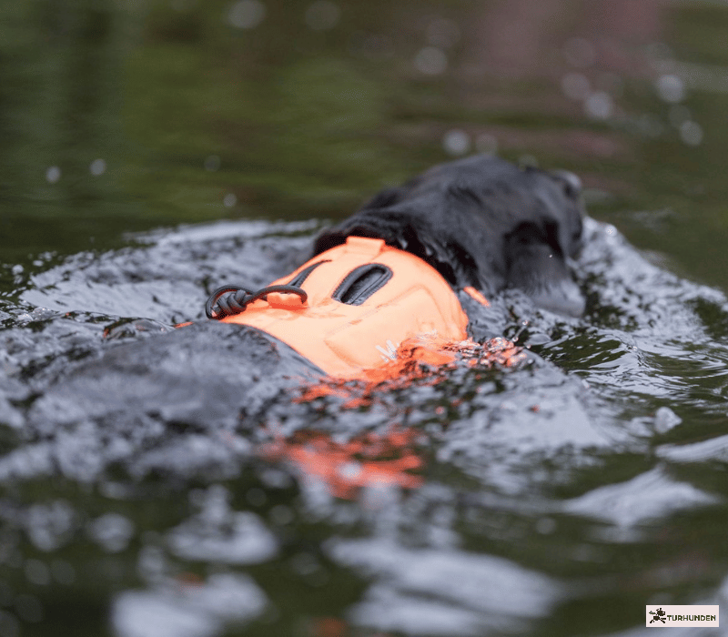 Non-stop dogwear Protector Neoprene Vest