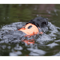 Non-stop dogwear Protector Neoprene Vest