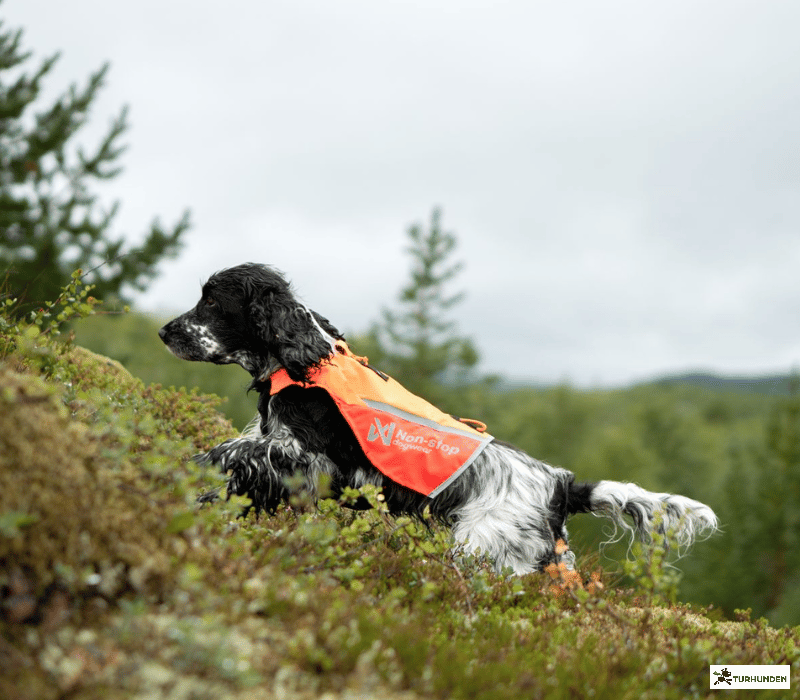 Non-stop dogwear Protector Vest 2.0