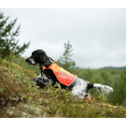 Non-stop dogwear Protector Vest 2.0