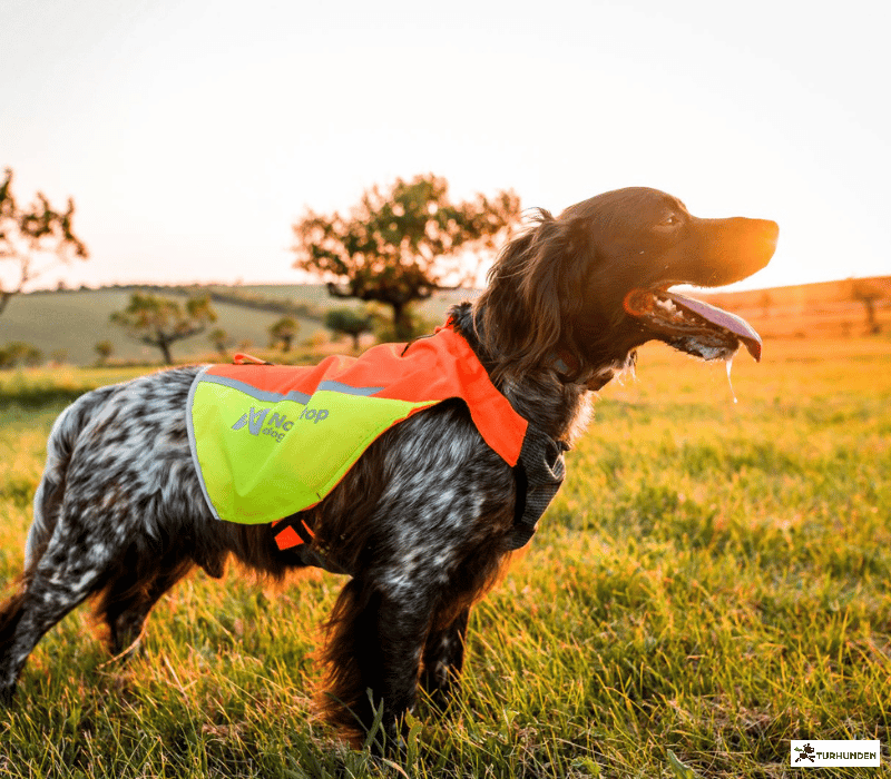 Non-stop dogwear Protector Vest 2.0