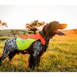 Non-stop dogwear Protector Vest 2.0