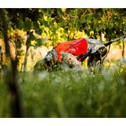 Non-stop dogwear Protector Vest 2.0