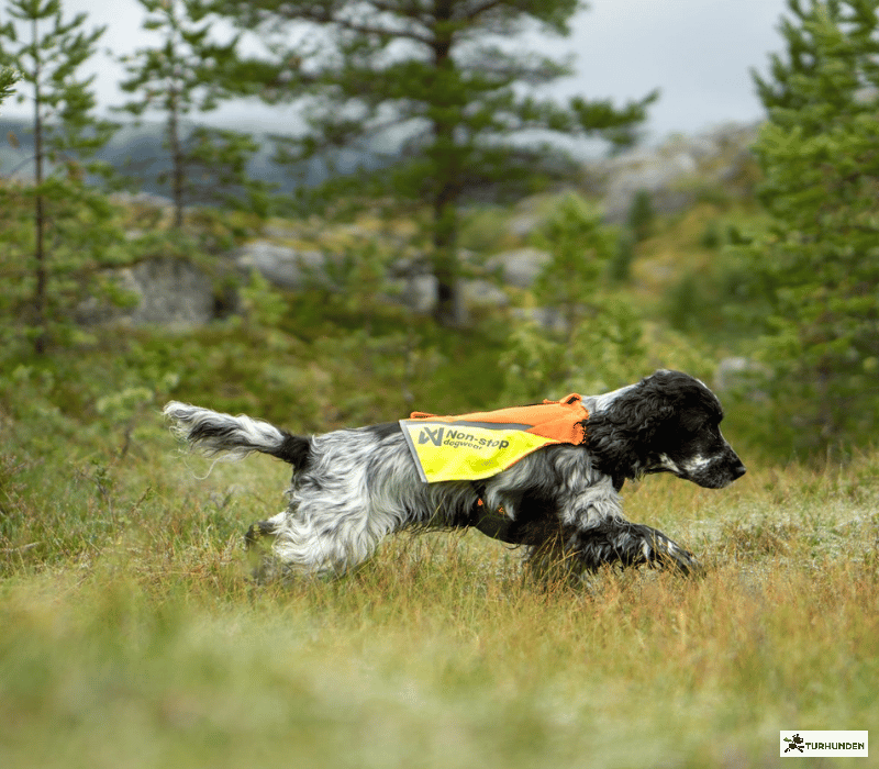 Non-stop dogwear Protector Vest 2.0