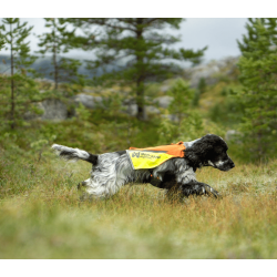 Non-stop dogwear Protector Vest 2.0