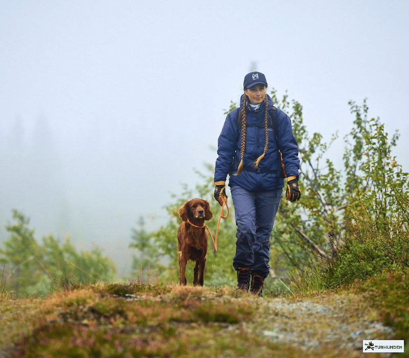 Non-stop dogwear Retriever Leash