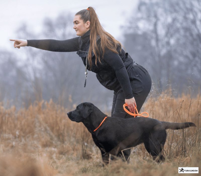 Non-stop dogwear Retriever Leash