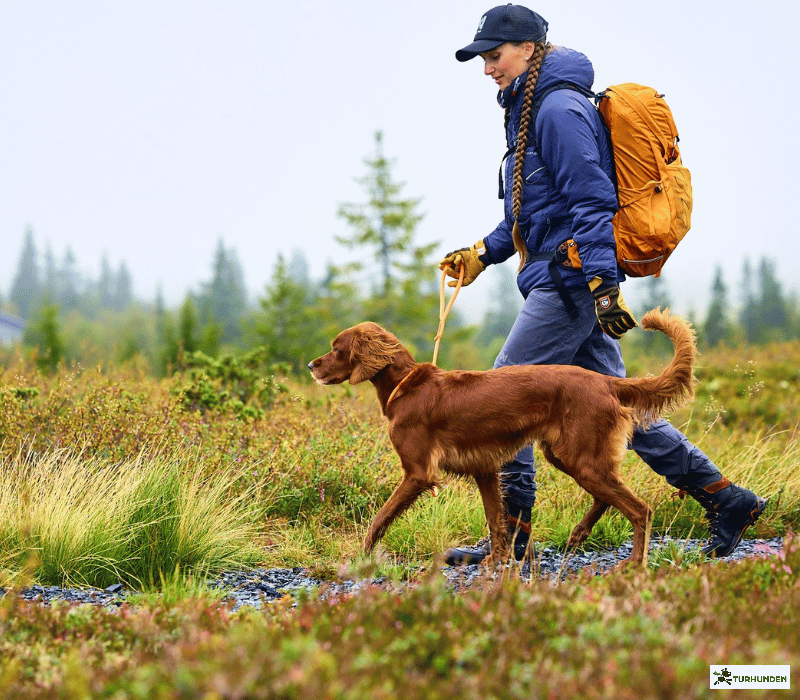 Non-stop dogwear Retriever Leash