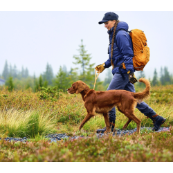 Non-stop dogwear Retriever Leash