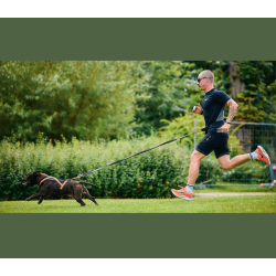 Non-stop dogwear Rush Harness