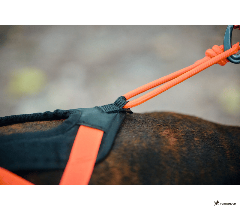 Non-stop dogwear Rush Harness